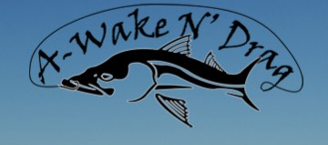 Tampa Fishing Charters - A Wake N Drag